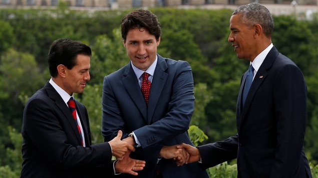 Entente sur le climat au Sommet des leaders nord-américains à Ottawa - ảnh 1